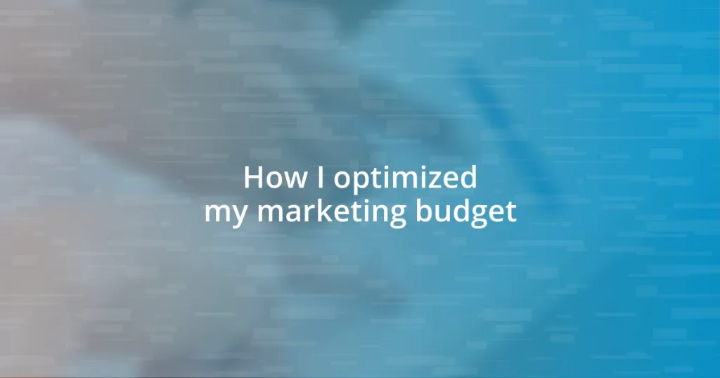 How I optimized my marketing budget